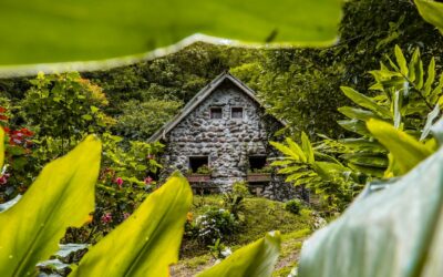 Renewed to Keep the Water Flowing